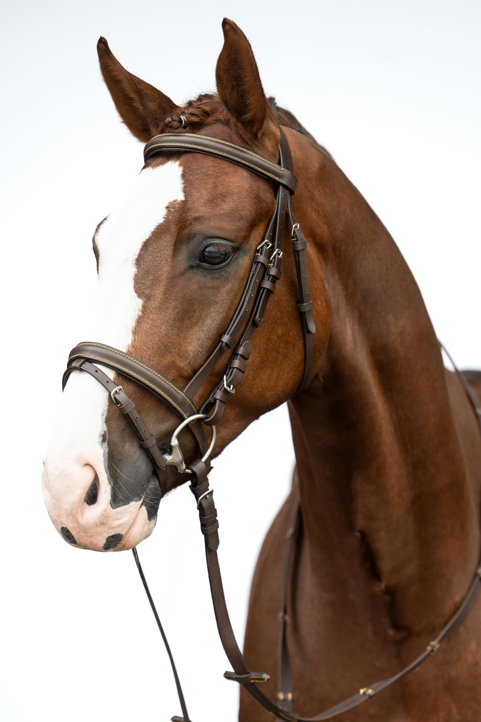 HKM 17422400.0914 Horse Riding Snaffle Lou, brown, shetland pony - Image 3