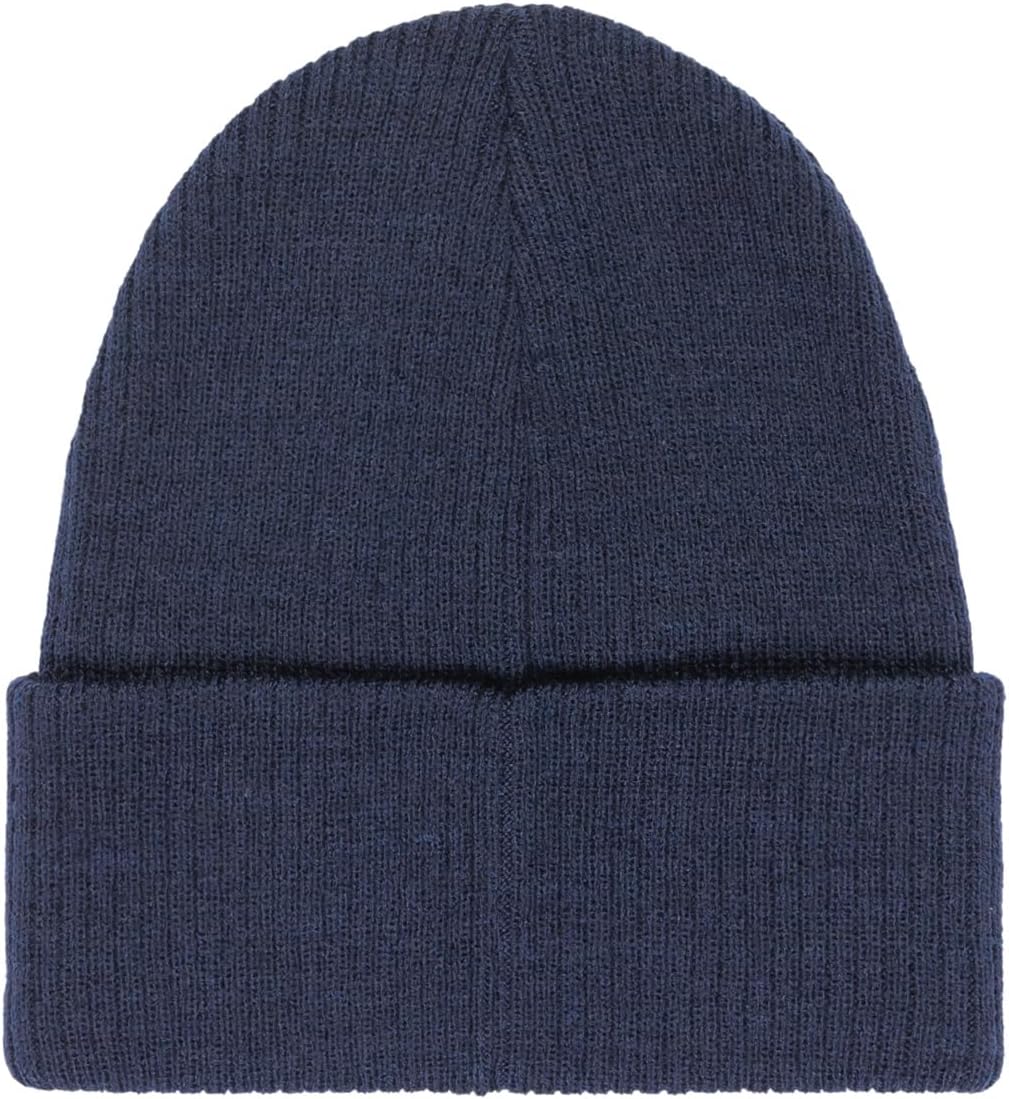 Element Men's Beanie