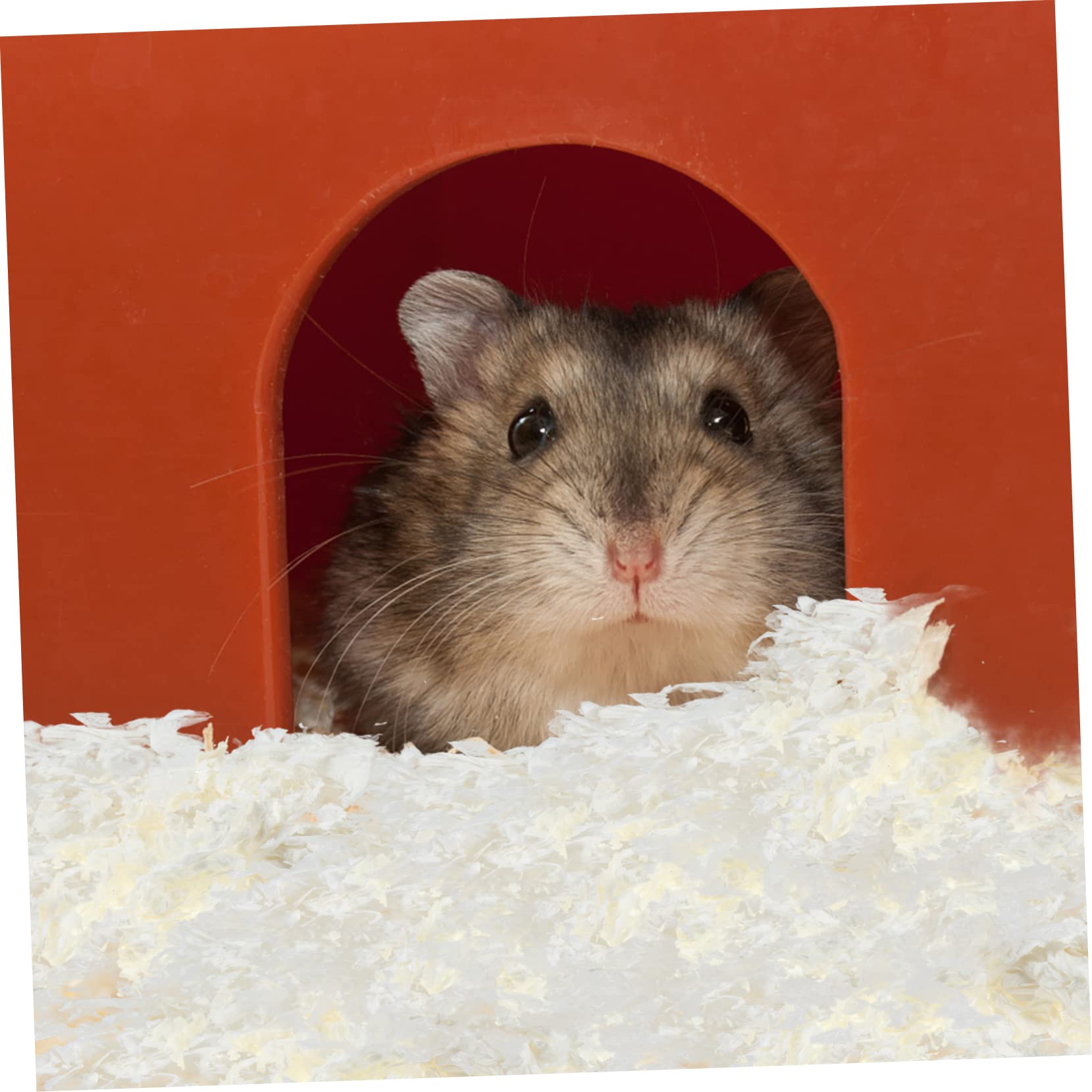 Saugfähige Papier Einlage für Hamster und Meerschweinchen 1 Packung