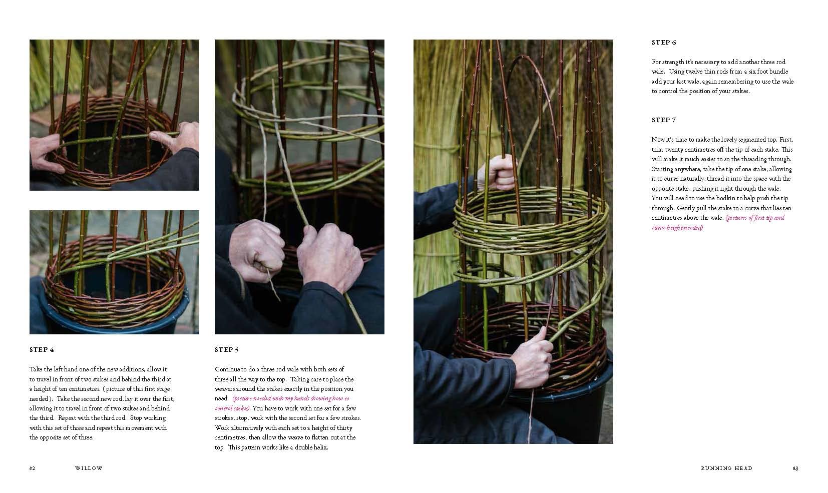 Willow: A Guide to Growing and Harvesting--Plus 20 Beautiful Woven Projects