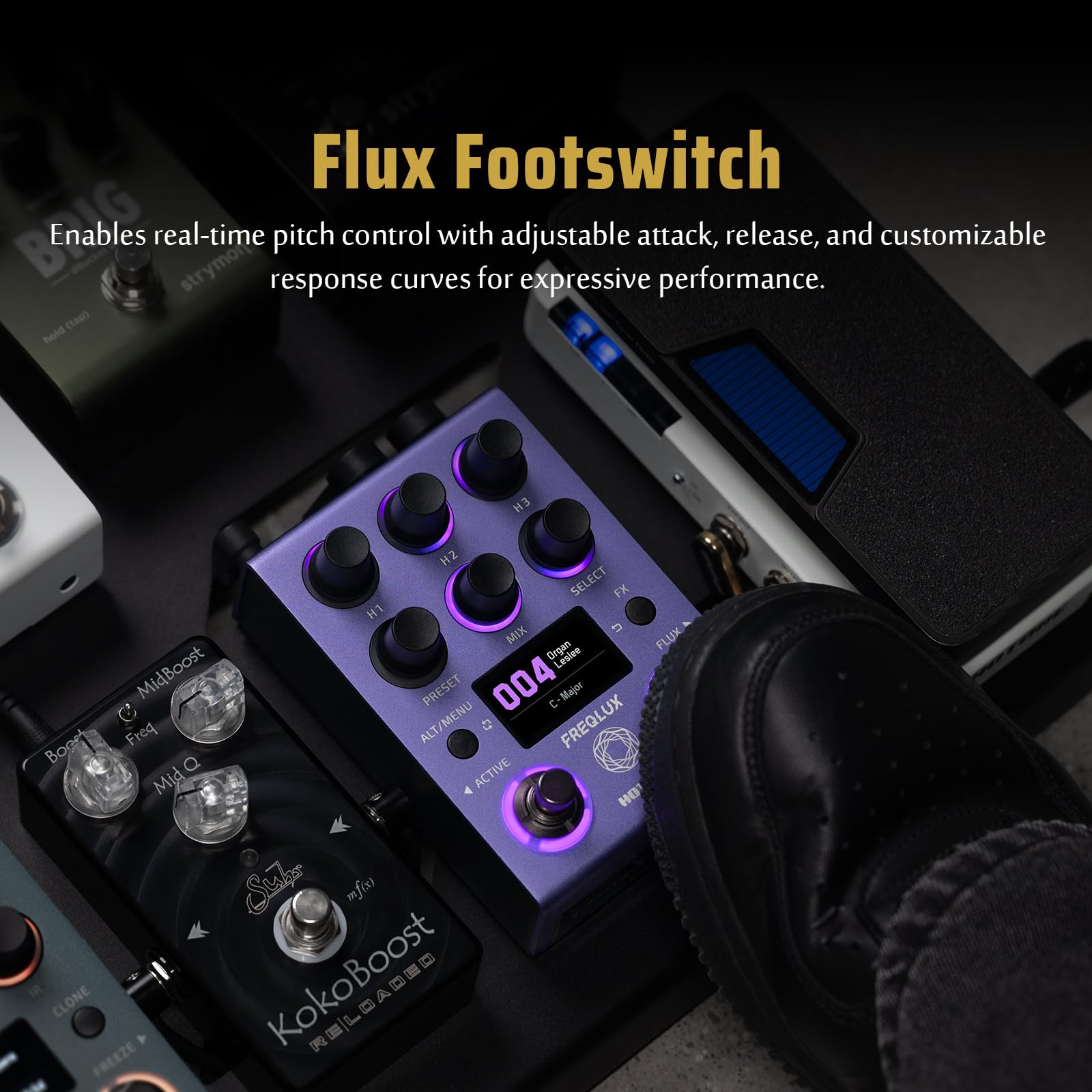 HOTONE Profesjonalny cyfrowy polifoniczny pitch shifter i inteligentny harmonizatora, 32-bitowy High Fidelity DSP, MIDI/EXP, 300 presetów Freqlux NP-200