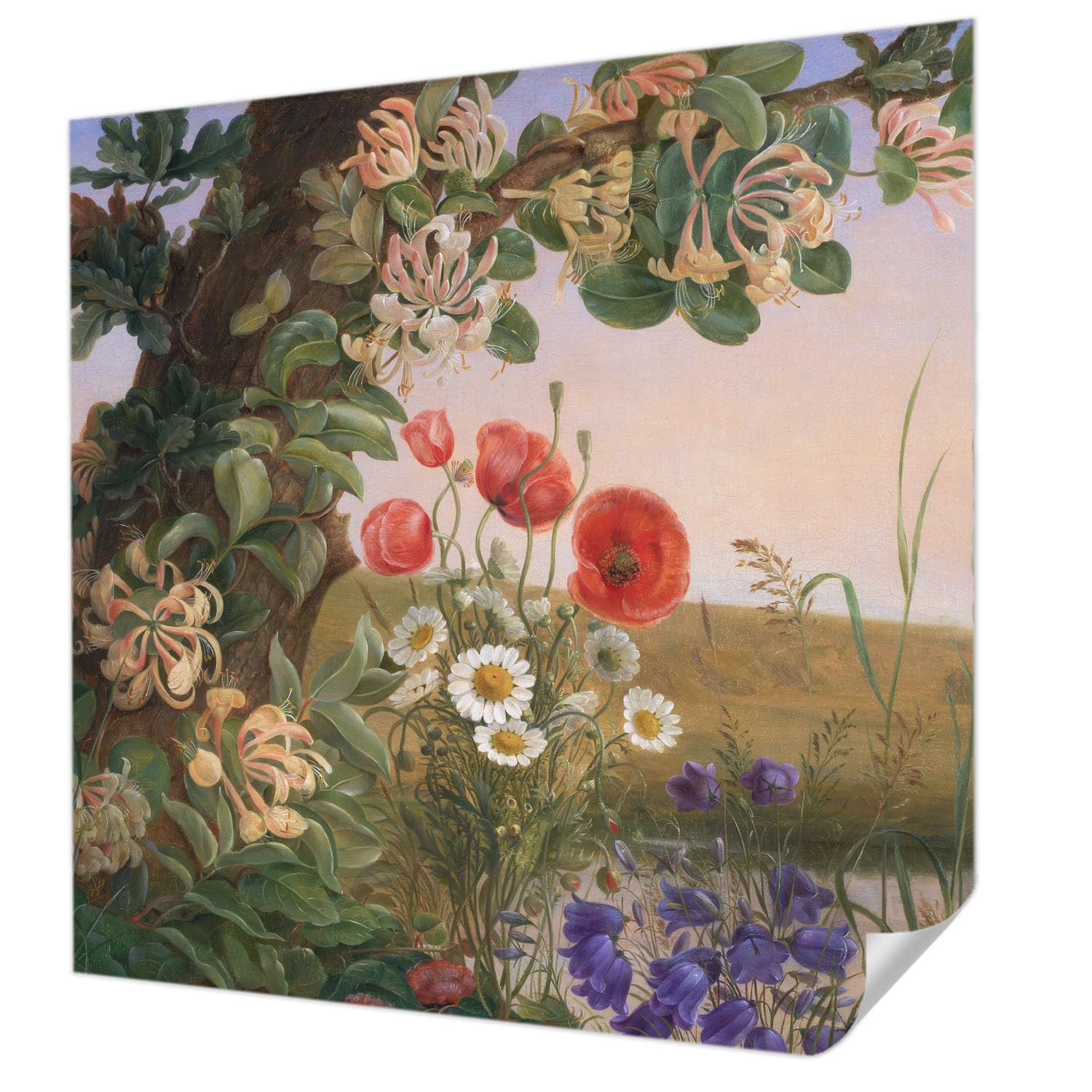 Décor mural adhésif haute qualité panoramique Tulup idylle florale 250x250cm