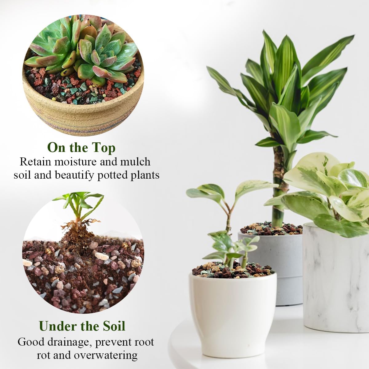 5 lbs Succulent Cactus Soil Potting Mix,1/4 inch Pumice Pebbles Mix Horticultural Lava Rock for Indoor Plants, Bonsai, Orchid - Image 6