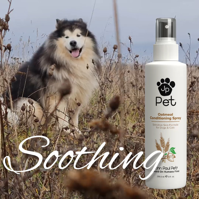 Oatmeal-Conditioning-Spray-Grooming-for-Dogs-and-Cats-Soothe-Sensitive-Skin-Formula-with-Aloe-for-Itchy-Dryness-for-Pets-pH-Balanced-Cruelty-Free-Paraben-Free-Made-in-USA-Non-Aerosol