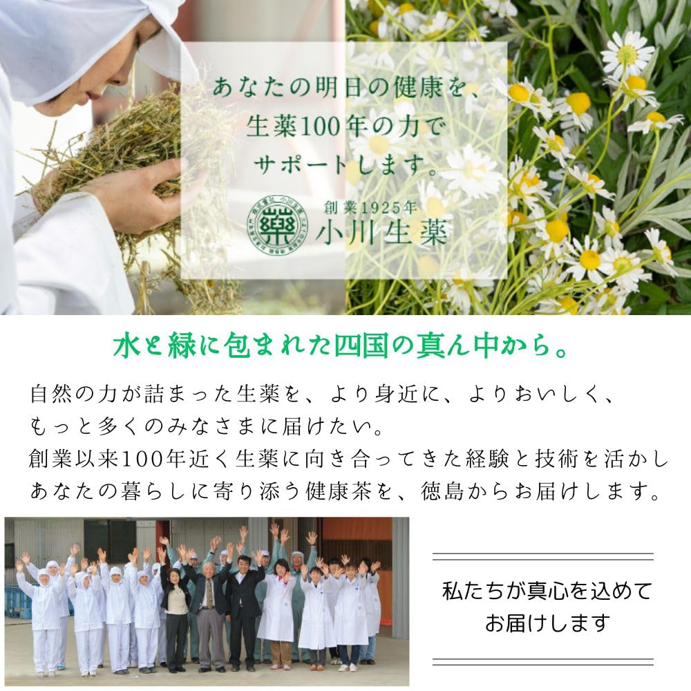 Amazon.co.jp: 乳酸発酵阿波番茶 1.5g×15包 1袋 小川生薬 創業大正14
