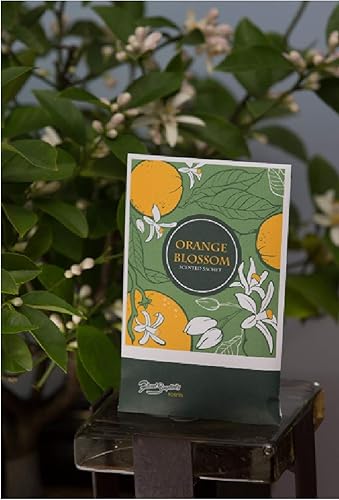 Miniatura 6 de Paquete de 6 sobres perfumados de azahar (primavera y verano), fragancia para el hogar de larga duración, ecológica, ambientador, aromas para