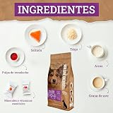 Ver la foto 2