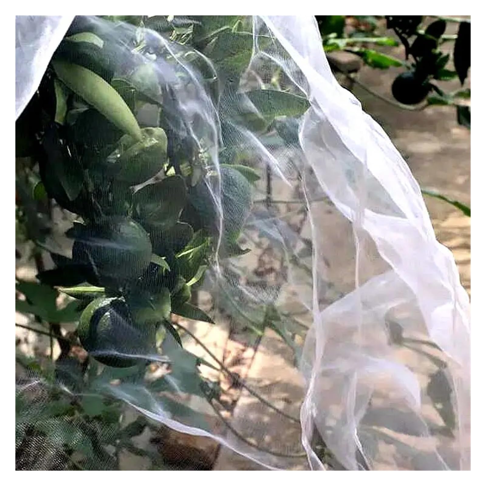 Esta Malla antipájaros de Nailon de 60 Mallas (4 m x 10 m) Protege Las Plantas, Cultivos frutales y arbustos. Es una Malla de jardín Duradera Que Protege los árboles de Las Aves.