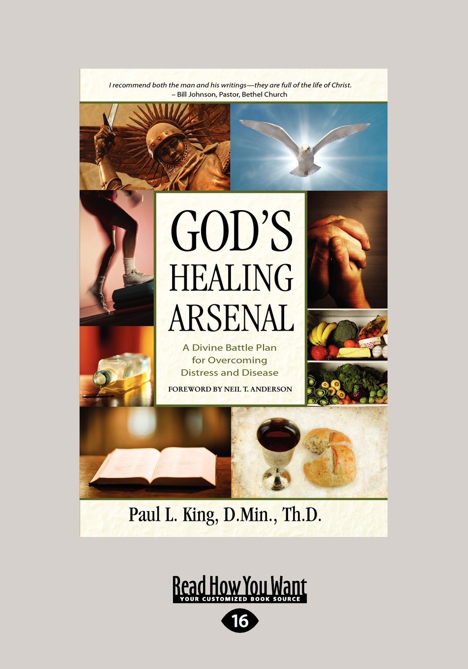God's Healing Arsenal:: A Divine Battle Plan for Overcoming Distress and Disease