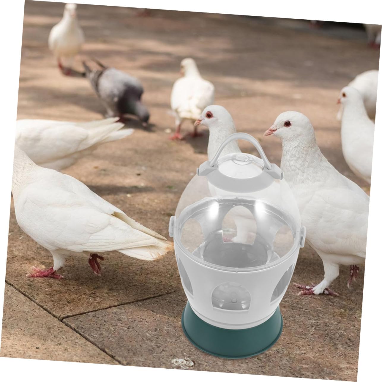 POPETPOP Bird Water Dispenser Automatic Pigeon Water Feeder Capacity for Bird Cages Convenient Watering for Pigeons