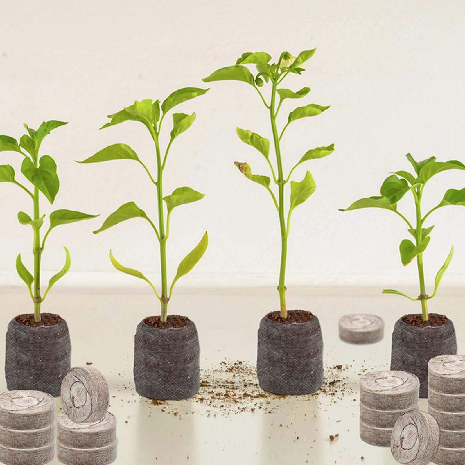 Tierra Vegetal | 100 Unidades Abono Orgánico,30 mm Sustrato Orgánico de Turba para Plantas de Interior | para Exterior, Hortalizas, Flores, Árboles, Cactus, Orquídeas, Bonsái, Monstera