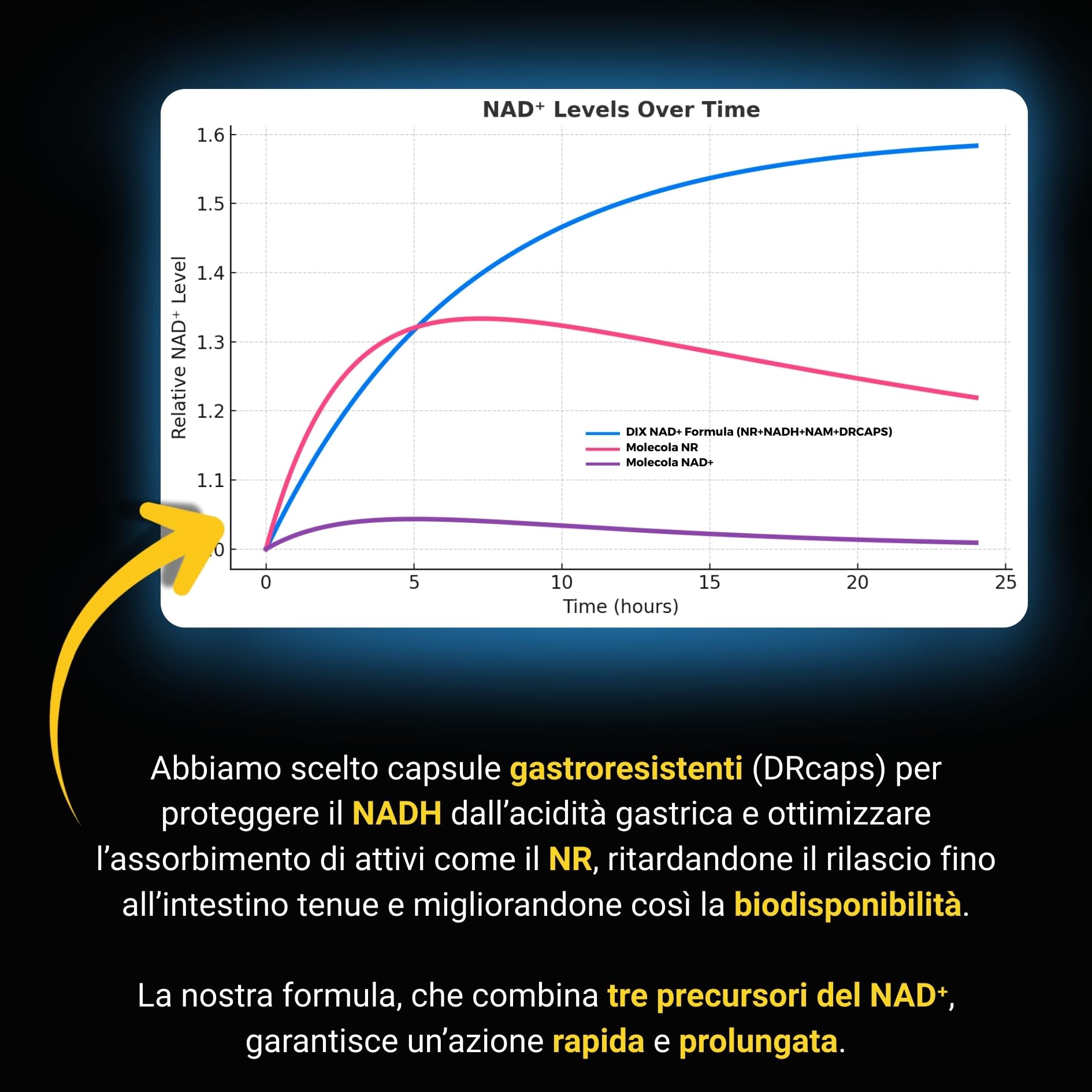 NAD⁺ ✗ NR + NADH + Vitamina B3 ✗ Cloruro di Nicotinamide Riboside ✗ Anti-Età ✗ Energia ✗ Azione sinergica rapida e prolungata ✗ Capsula vegetale gastroresistente ✗ Prodotto in Francia