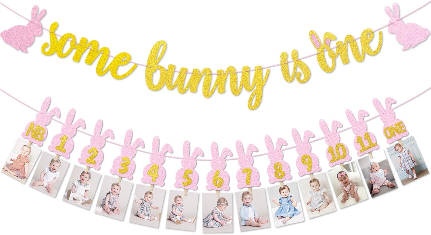 Some Bunny is One Banner Kit Easter Bunny 1st Birthday Decorations Monthly Milestone Photo Banner Spring Easter Rabbit Themed 12 Months Photo Banner for Girls Baby