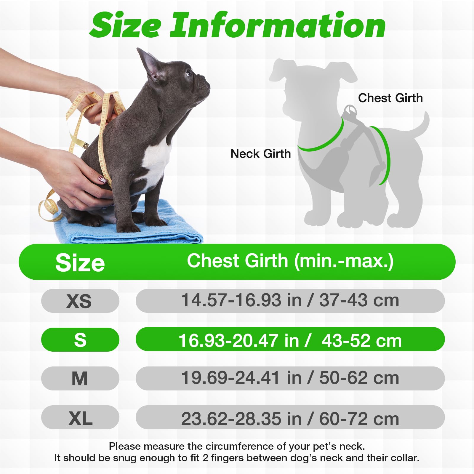 Pettorina Cane Taglia Piccola, Step-in Pettorina Anti-tiro per Cuccioli Gatti con Guinzaglio, Regolabile Riflettente Traspirante Imbracatura Cane Morbida per Passeggiate Corsa (Verde M)