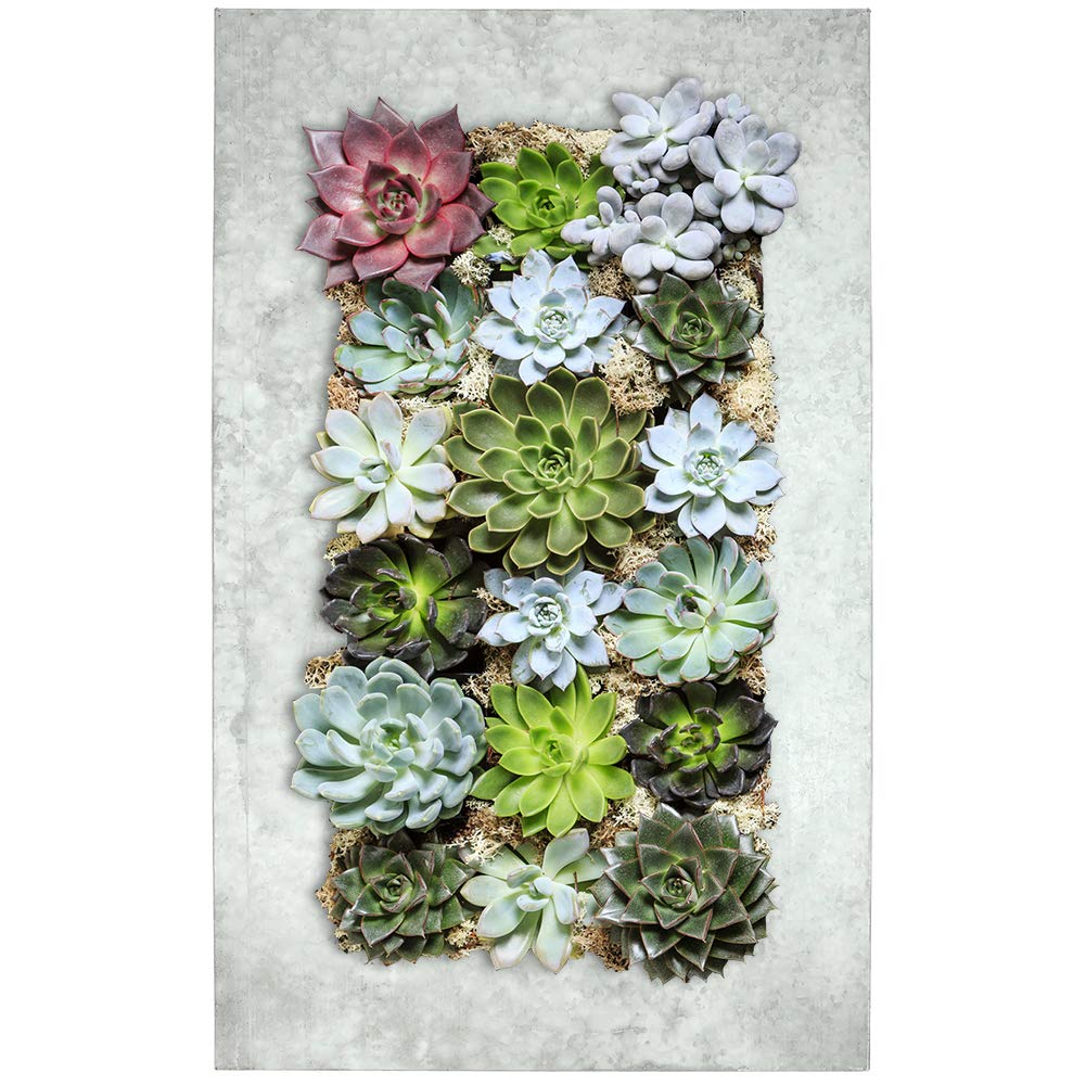 Modern Home Living Wall Galvanized Steel/Zinc Succulent Planter, Wall Mounted Garden Pocket Planter (18 Pocket, Aged Zinc)