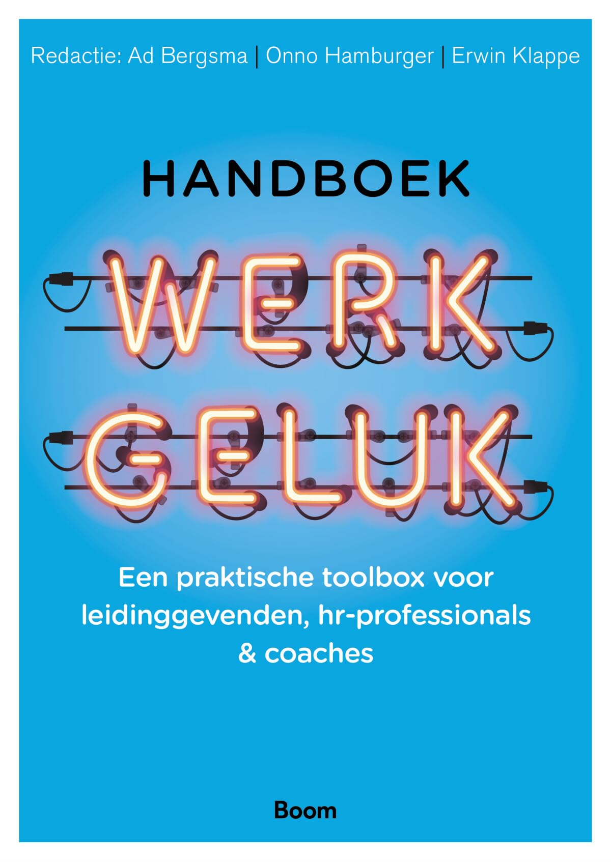 Handboek werkgeluk: een praktische toolbox voor leidinggevenden, hr-professionals & coaches