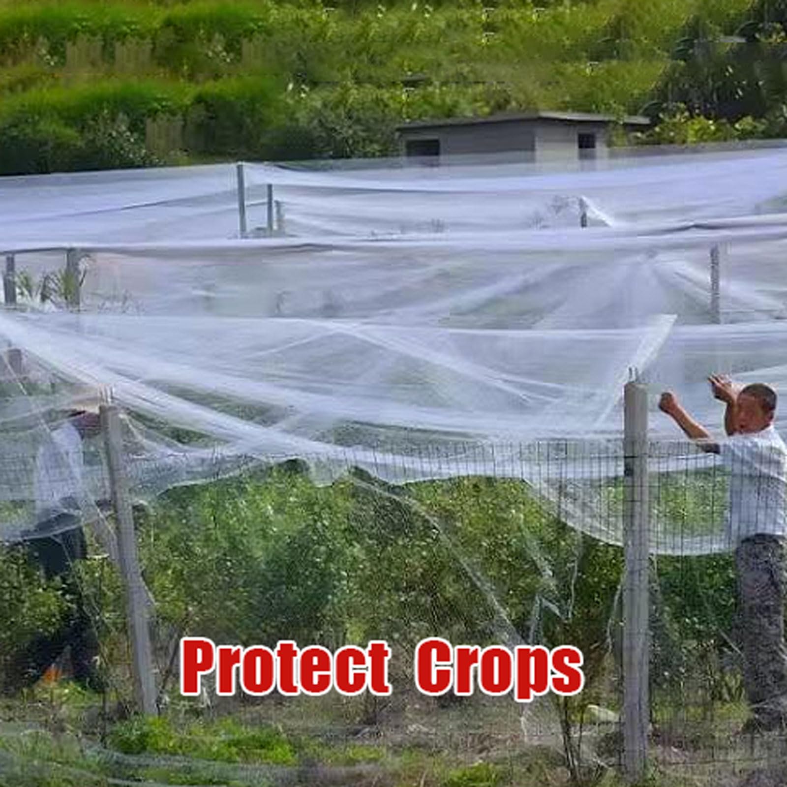 Malla Antigranizo,Malla Antigranizo para Plantas De JardíN,Red Protección De Frutas Y Verduras,Malla Anti-PáJaros,Resistente Al Desgarro,Tamaño Cortable,para Huertos Y invernaderos