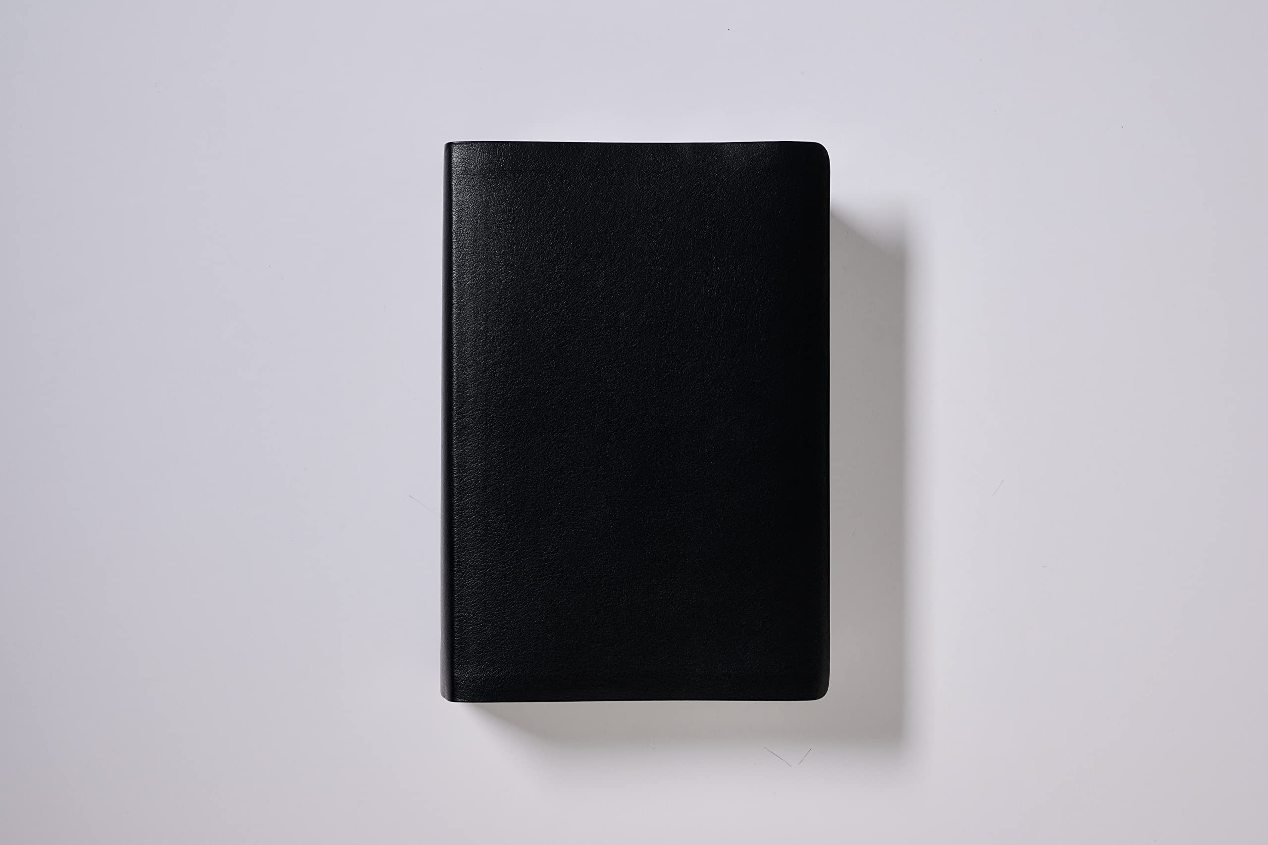 NVI Biblia De Estudio Teologia Biblica: Nueva Version International, Negro, Piel Reciclada: Sigue el plan redentor de Dios como se desenlaza en las Escrituras