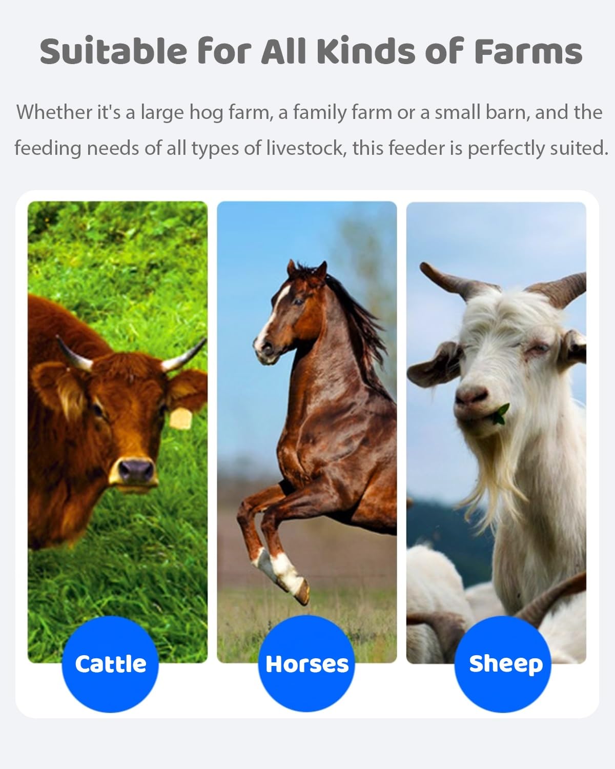 Comedero para Cerdos Comedero y Bebedero de Grano para Ovejas, Gran Capacidad (paquete de 2 O 4 Unidades), Comedero para Terneros, Cerdos y Ganado, Fácil de Limpiar, Comedero para Caballos y Alpacas.(