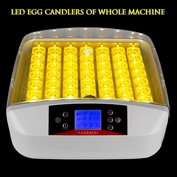 Hatching Egg Hatcher, 56 Pcs Automatic Hatching Egg with LED Lights, Rolling Egg and Temperature Control, Hatcher for Chicken, Duck