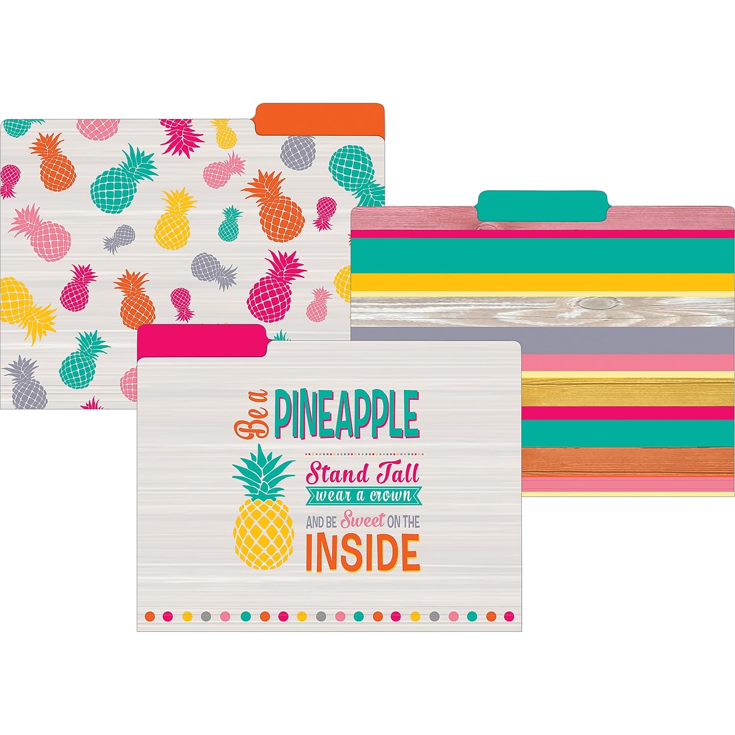 Teacher Created Resources Tropical Punch File Folders (TCR8538)