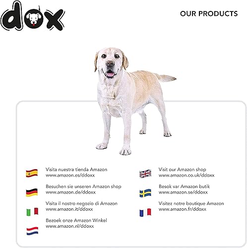 Miniatura 8 de DDOXX Cuenco de alimentación para perros, base de melamina antideslizante y apta para lavavajillas, con cuenco de acero inoxidable extraíble, 11.8