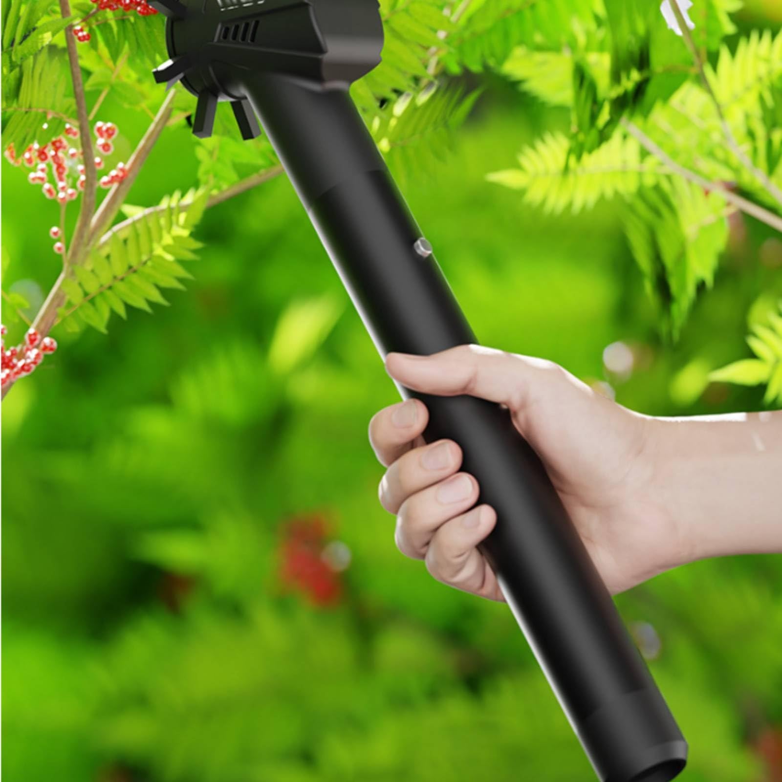 Colcolo Elektrischer Beerenpflücker Beerenpflückgerät Obstpflücker Handernter mit Austariertem Handstück für Kontrolliertes Führen An Zweigen für Gartenarbeit Hobbygärtner