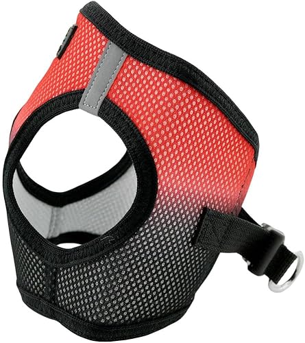 Vista 57 de DOGGIE DESIGN American River - Arnés para perro de la colección ombré, color frambuesa (S (circunferencia de 13 a 16 pulgadas)