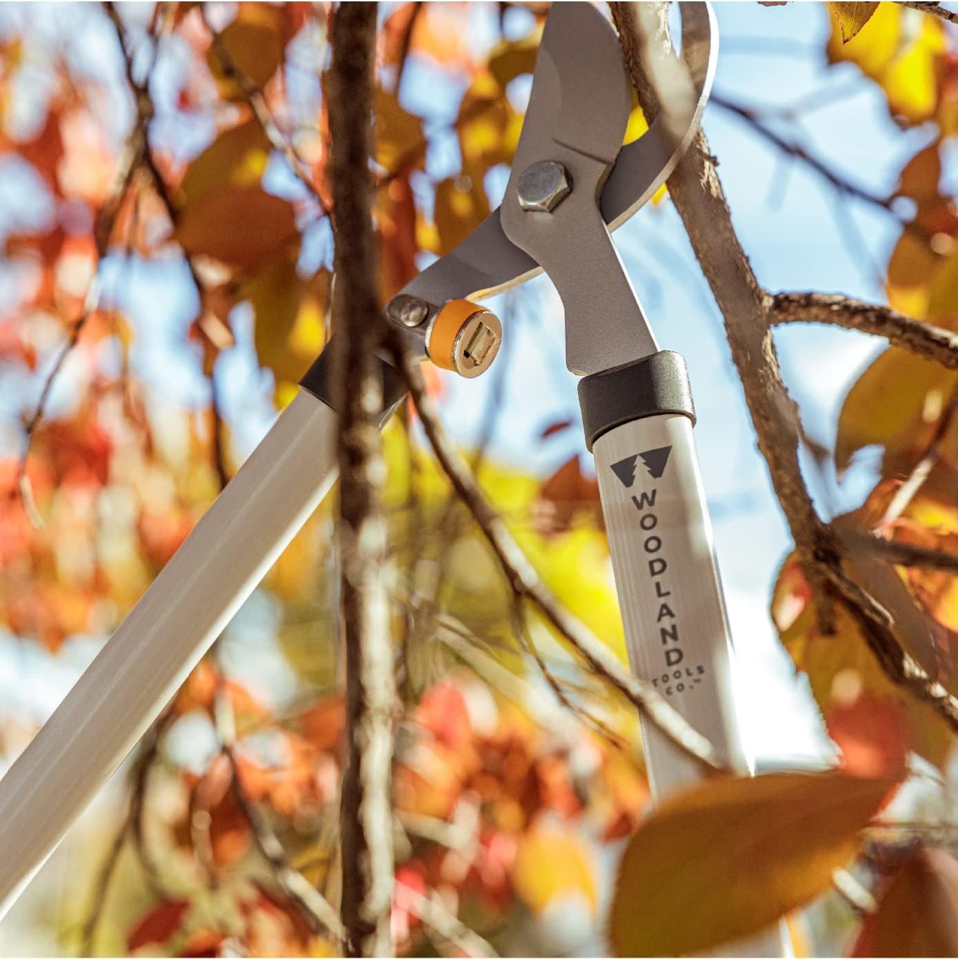 Woodland Tools Co. 28" Regular Duty Bypass Lopper, Branch Cutter, Limb Trimmer, Gardening Tree Clipper (25-3001-100) : Patio, Lawn & Garden