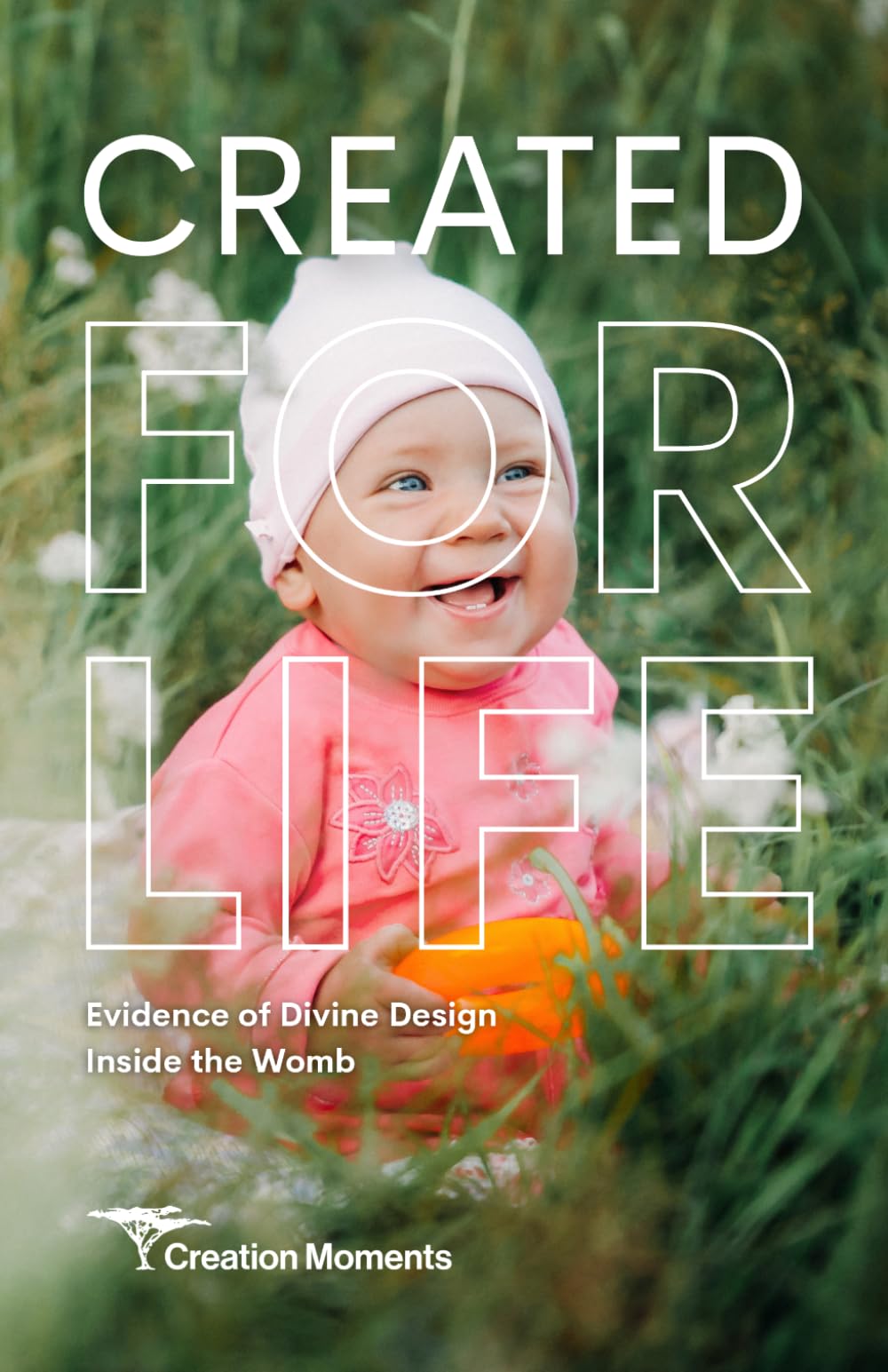 Created for Life: Evidence of Divine Design Inside the Womb