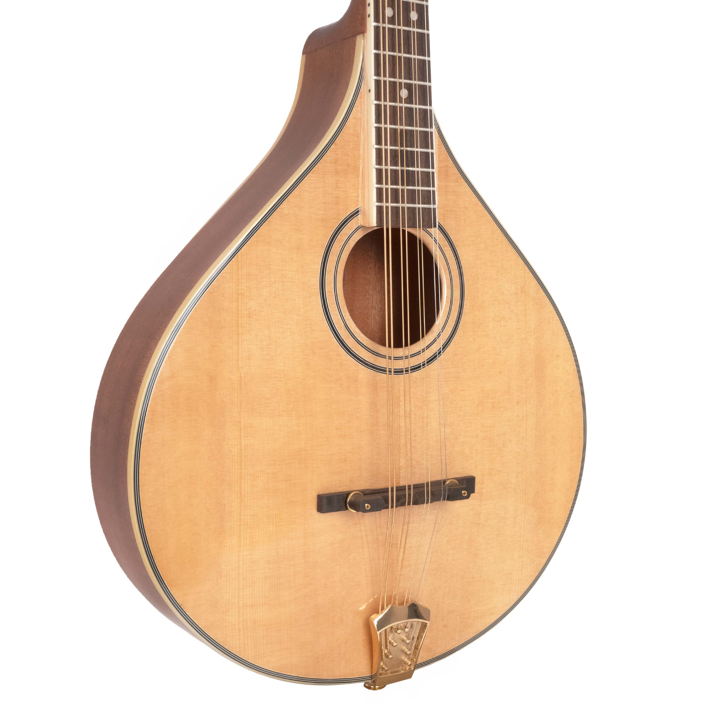 Gold Tone OM-800+ Octave Mandolin (Mahogany) - Image 2