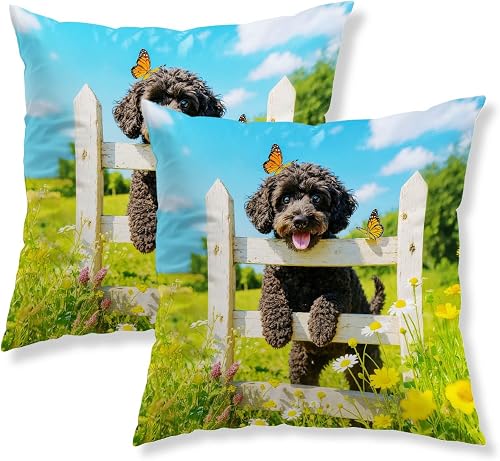 IVN Spring Pillow Covers Set of 2 18x18 Inch White Fence with Daisies Playful Po