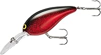 Vista 14 de Norman Deep Little N Crankbait Bass