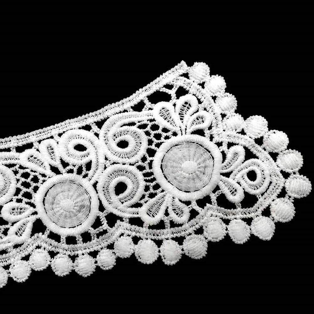 Amazon.com: White Black Hollow Out Flower Lace Collar Sewing on Clothes  Trim Embroidered Applique Neckline DIY Wedding Dress Accessory (White)
