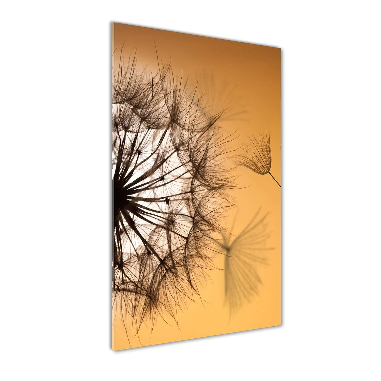 Impression sur verre acrylique Tulup 60x120 cm tableau mural pissenlit orange
