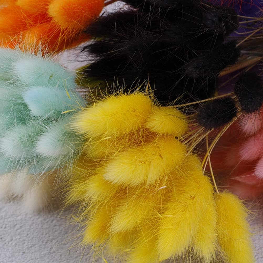 160 Pcs Natural Dried Lagurus Ovatus Flowers Artificial Uraria Picta Bunny Rabbit Tail Grass Bouquet Lagurus Plant Stems Eternal Real Flower Bouquet Bunche Photo Props Home Party&Wedding Decor