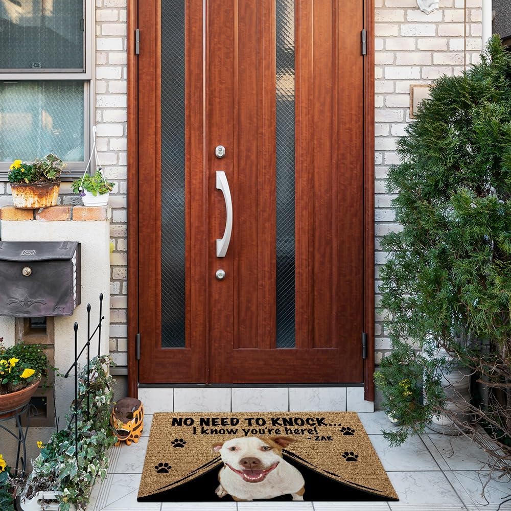 Personalized Door Mat with Funny Cane Corso Dog Welcome Floor Mat No Need to Knock I Know You're Here for Dog Lover 23.6" X 15.7", Style 1