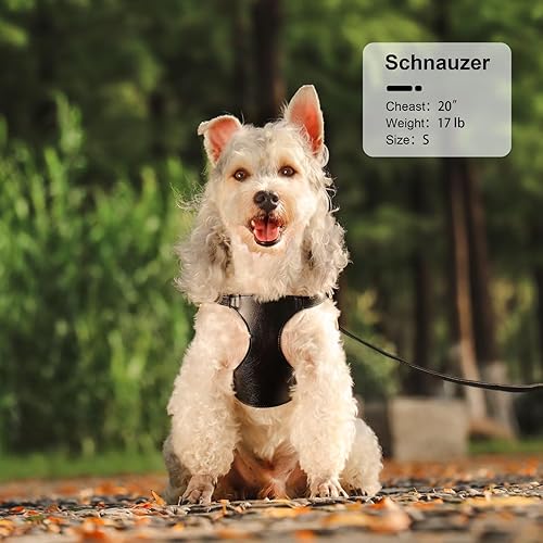 Miniatura 2 de Didog Arnés sin tirones para perros pequeños, suave y ligero juego de arnés y correa para perros pequeños, duradero y ajustable, arnés de cuero XXS