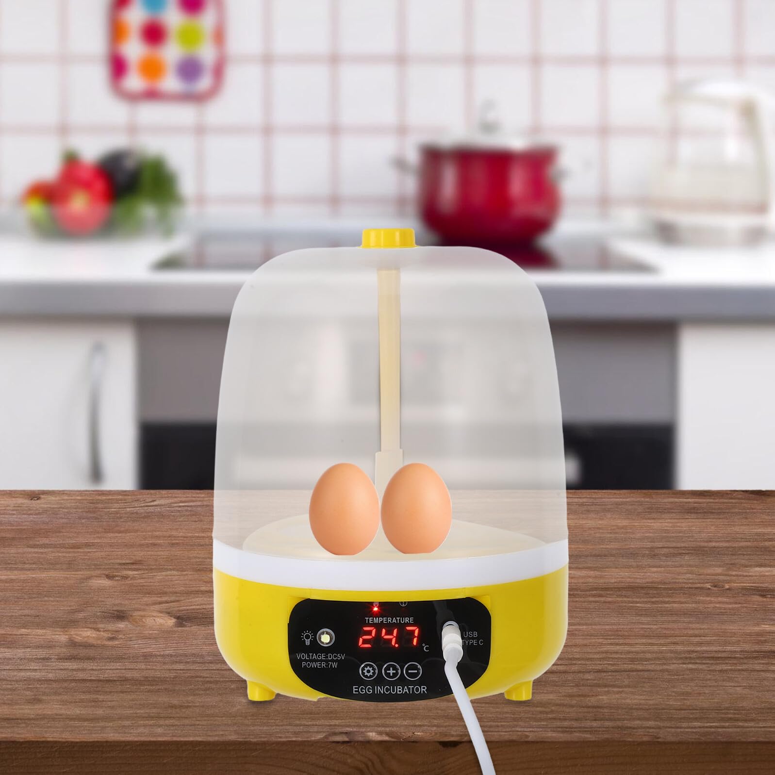 Abaodam Incubatrice Intelligente Per Uova Incubatrice Per Uova Di Gallina Piccole Incubatrici Per