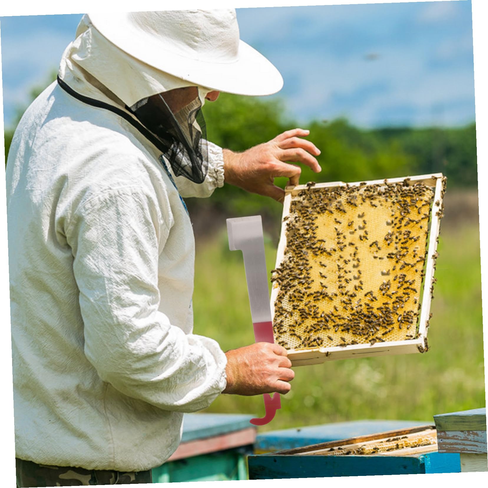 NUOBESTY 5 Pièces Kit d'apiculture cadre Outil d'apiculture