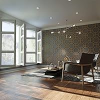 Vista 1 de Ekena Millwork WALW12X12X0375BRDBI Bradley Paneles de pared decorativos de 3/8 pulgadas en T, 19 7/8 pulgadas de ancho x 11 pulgadas de alto, abedul