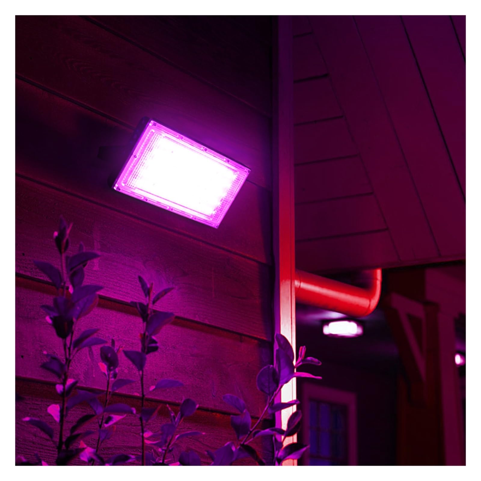 Lámpara LED De Cultivo Phyto AC 50W, Reflector LED De Espectro Completo, Foco For Plantas Hidropónicas De Plantas De Invernadero For Interiores Y Exteriores (Size : Cold White)