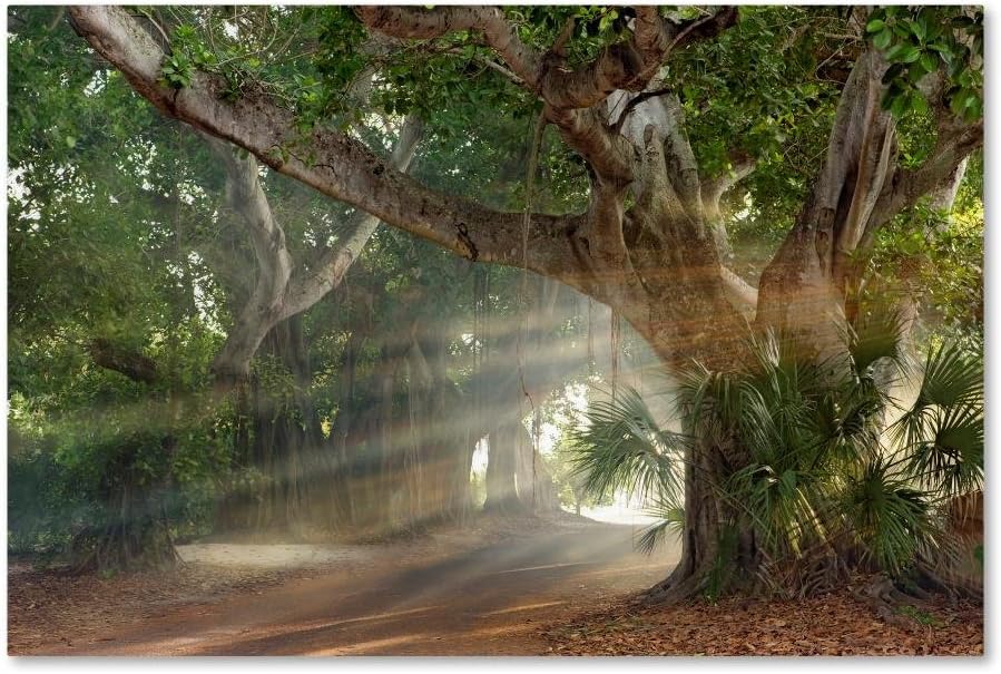Trademark Fine Art Boca Grande Banyon Street by Mike Jones Photo, 12x19-Inch Canvas Wall