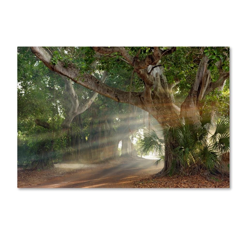 Trademark Fine Art Boca Grande Banyon Street by Mike Jones Photo, 12x19-Inch Canvas Wall
