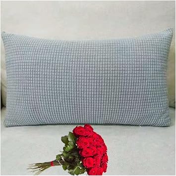Pillowcases Christmas Throw Pillow Covers Soft Decorative 1 Piece Cushion Cover Farmhouse Home Decor for Couch Bed Sofa Living Room Protector1066,14x14 in 35x35 cm