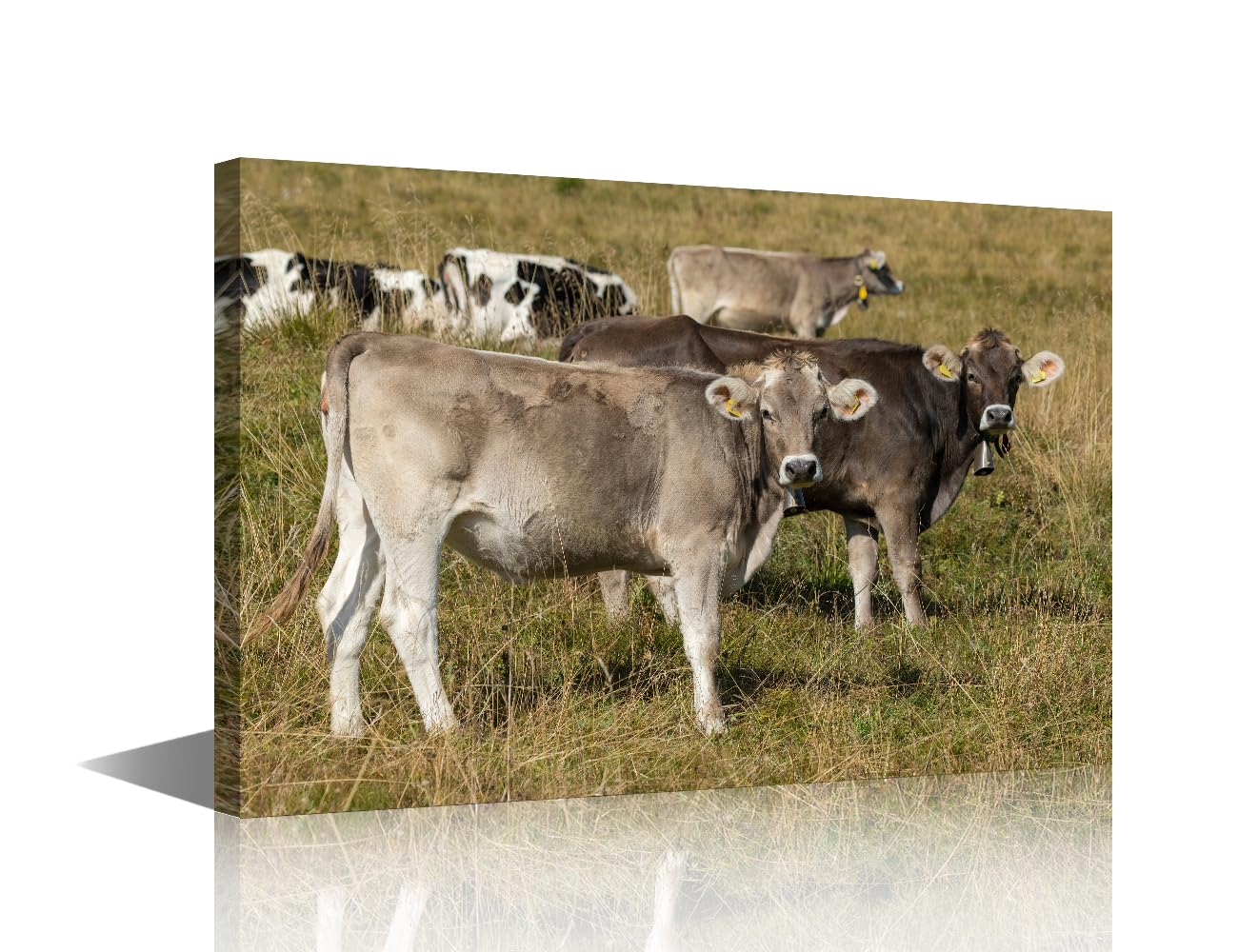 cattle Wall Decor Canvas Art Two Domestic Cattle's (Bos Taurus) Standing in an Alpine Meadow Picture Posters Modern Artwork Paintings Home Wall Decoration Kids cute style Bedroom 1 Panels(12"Wx18"H)