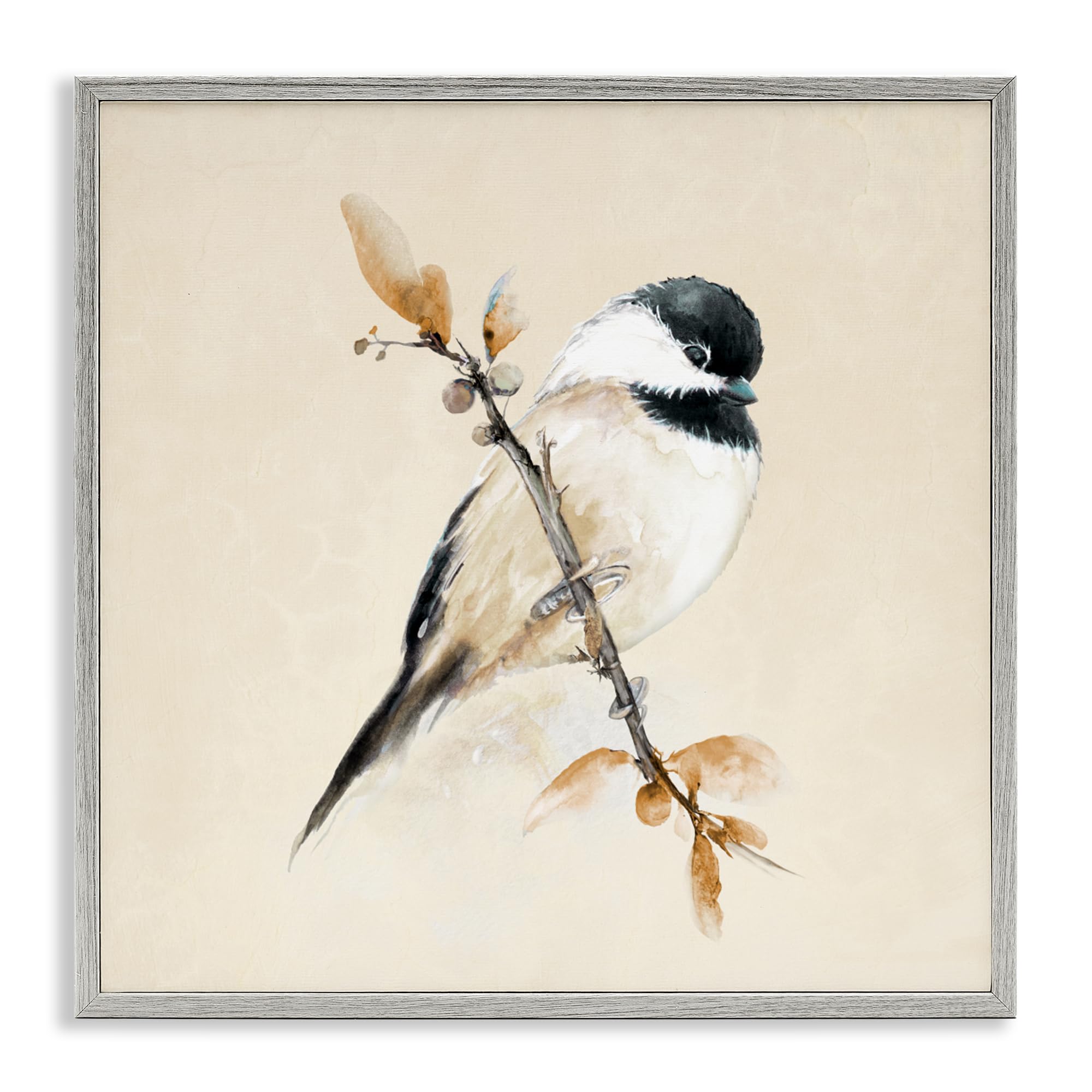 Stupell Industries 'Muted Watercolor Chickadee', Framed Giclee Art, Gray, 12 x 12 Inches, Easy to Hang and Sturdy, Made in USA, by Diannart