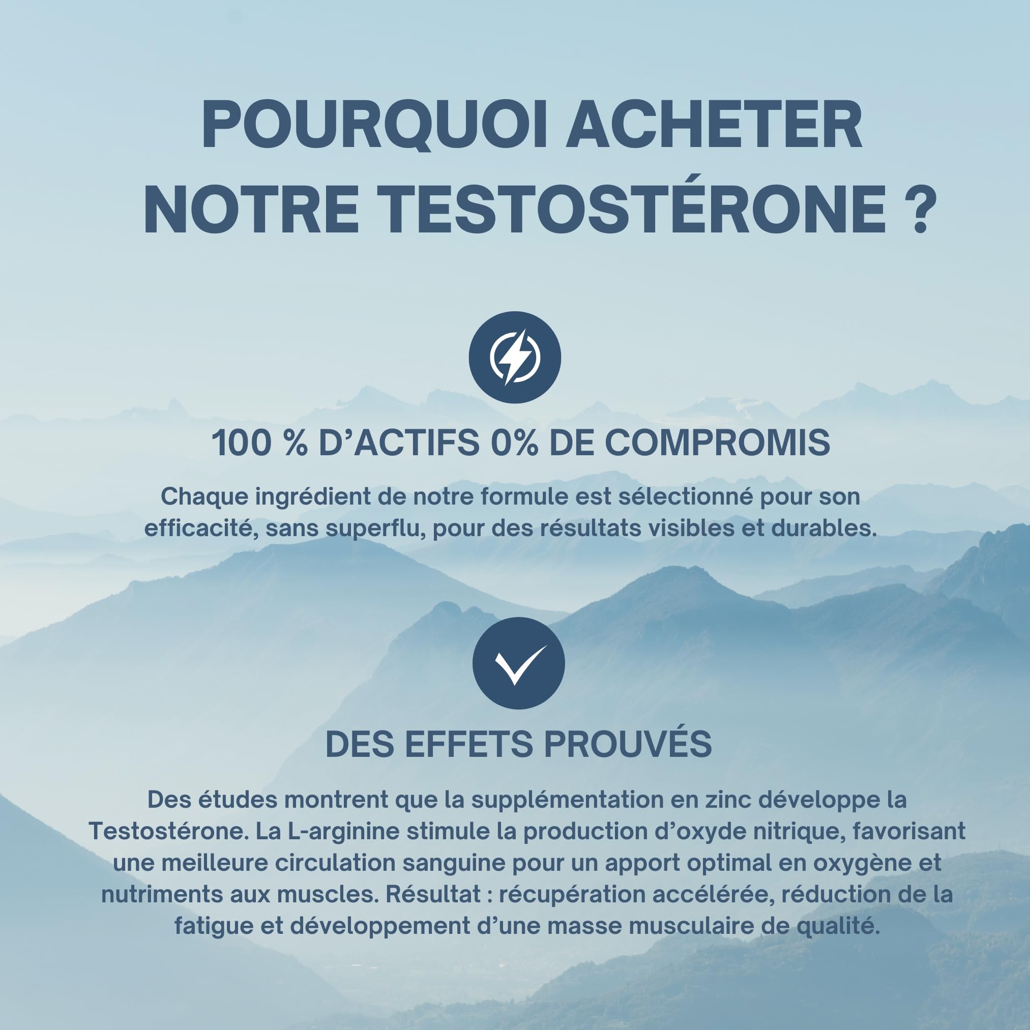 ROBUSTE Testostérone Performance et Circulation sanguine - L-Arginine, Tribulus, Maca, Ashwaganda, Zinc - Complément alimentaire naturel pour homme - Fabriqué en France - Cure 1 mois, 60 comprimés.