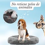 Ver la foto 2