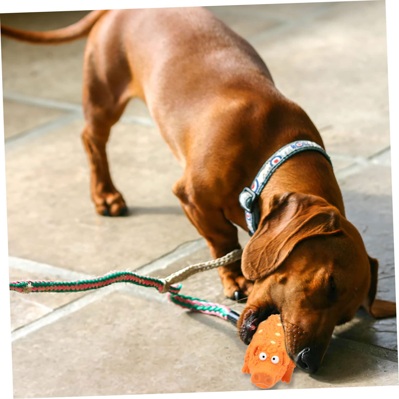 Sosoport 4piezas Juguetes De Squeaky para Perros Juguetes Interactivos para Masticar y Jugar Mejora La Relación Mascota-dueño para Perros y Cachorros